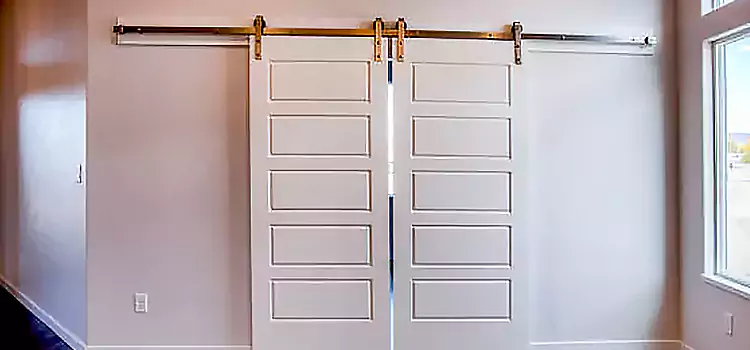 Glass Barn Door with Installation Hardware Kit Abilene